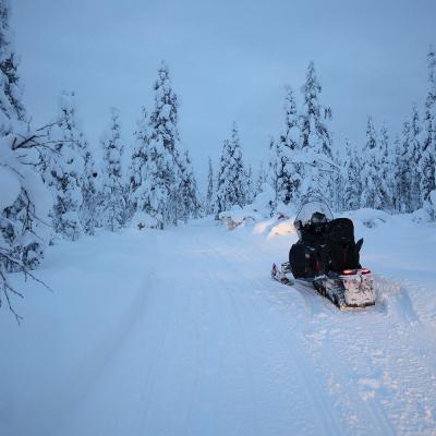 Raid en motoneige Laponie