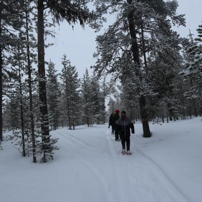Randonnée en raquettes Laponie