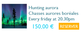 Aurores