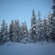 Img 4247