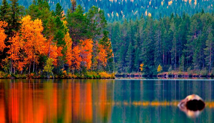 Automne