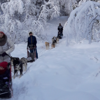 Huskies2